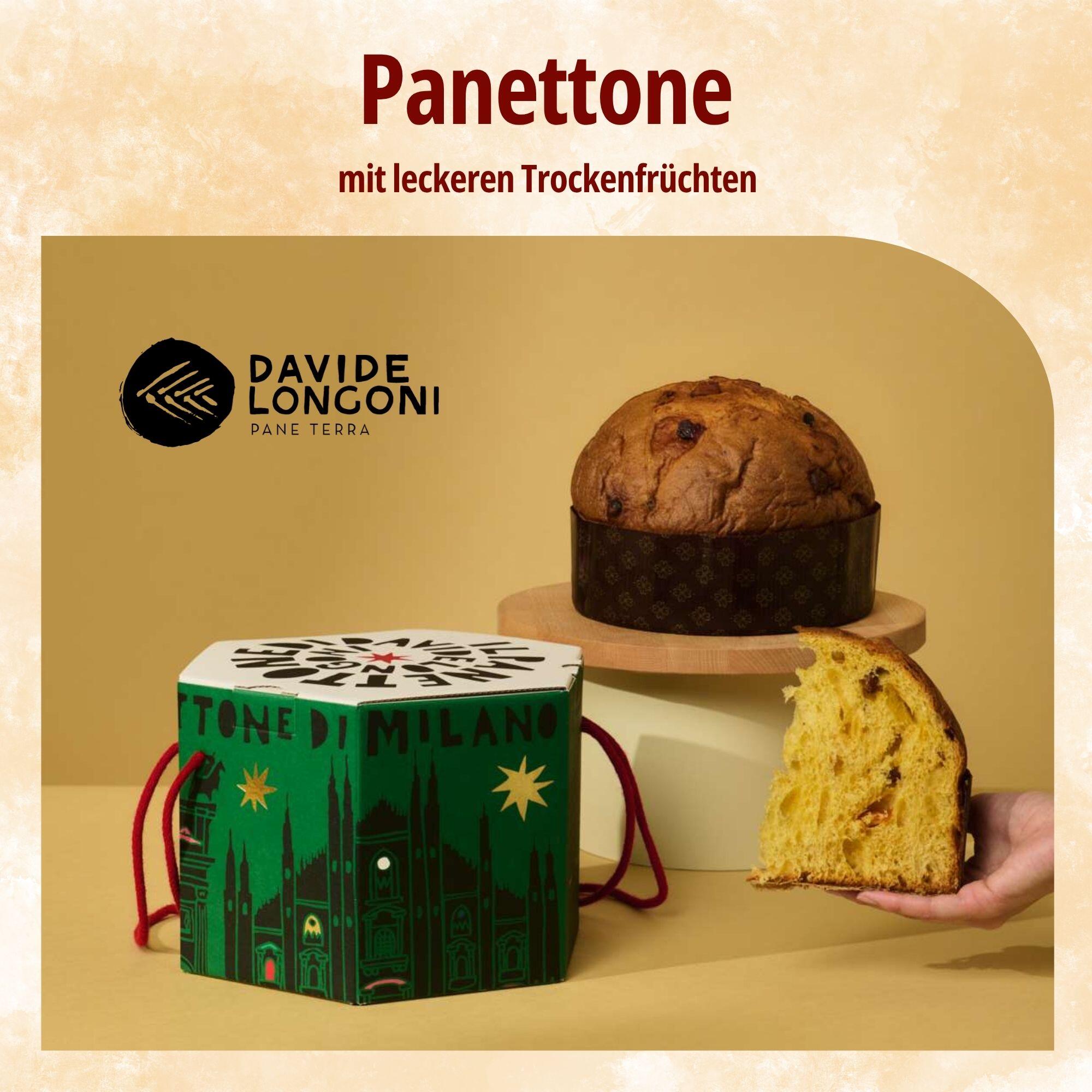 Eine Panettone mit Trockenfrüchten, direkt aus einer kleinen Bäckerei in Mailand